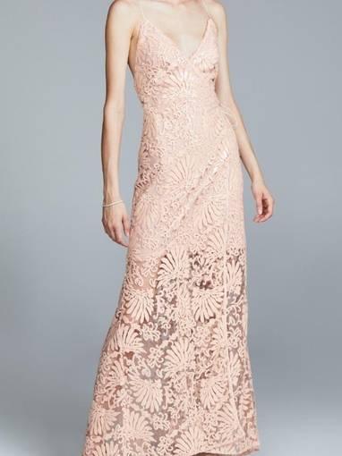 Maria Lucia Hohan Gown Pink/Nude Size 10