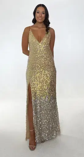 Jonte Glitz Gown in Gold/Silver Beaded