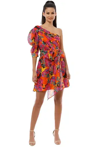 Talulah Blossom Mini Dress Print Size 14