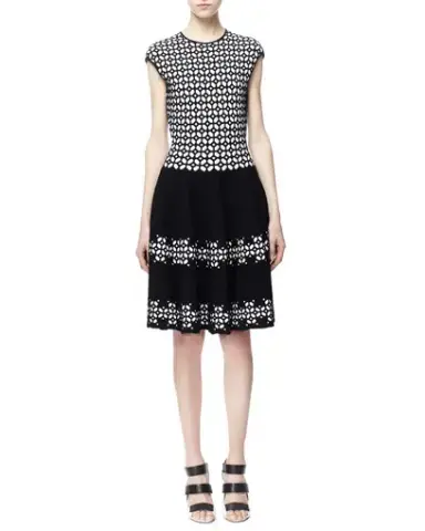 Alexander McQueen Fit and Flare Jacquard Dress Print Size 6