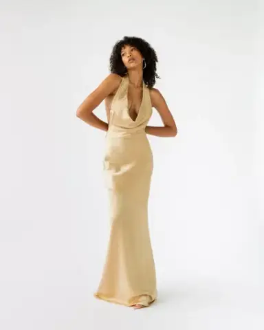 Arcina Ori Daniella Gold Dress Gold Size XS/Au 6