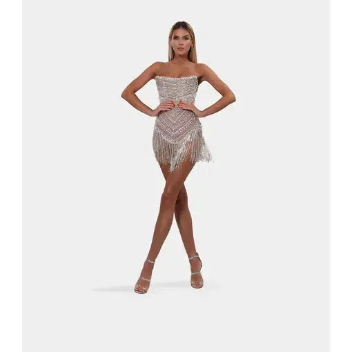 Albina Dyla Wild Corset Short Dress Silver/Nude Size 6