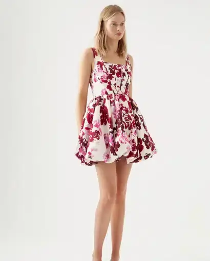 AJE Suzette Mini Dress Roses of Provence Print Size 6
