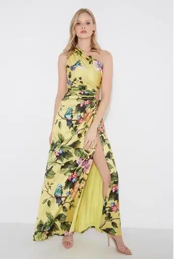 Sonya Nour Royal Botanica Maxi Dress Floral In Size 10 