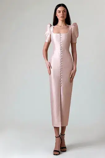 LN Family Fitted Dress in Champagne Pink Size 6
