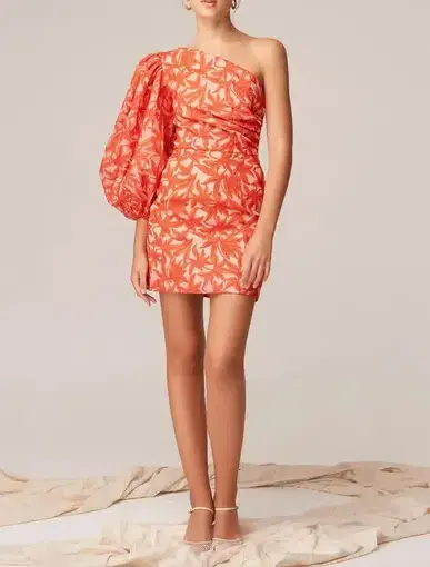 Keepsake the Label Parallel Mini Dress in Chilli Size 12 