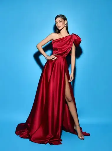 Fjolla Nila Dina Dress Burgundy Size AU 6