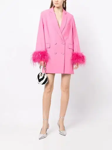 Rachel Gilbert Lincoln Mini Dress Pink Size S / AU 8