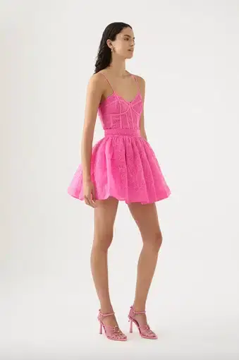 Aje Evangeline Cornelli Mini Skirt in Protea Pink
Size 8 / S