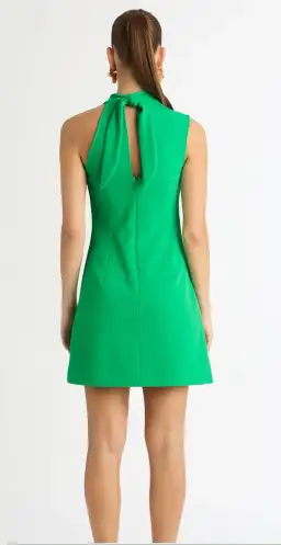 Sheike Avery Mini Dress Green Size 10 for rent on The Volte - image 3
