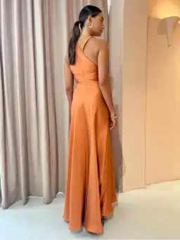 One Fell Swoop Emmeline Floor Length Dress Size 12 for rent on The Volte - image 7