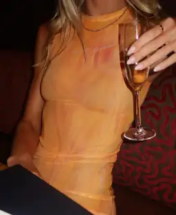 With Harper Lu Tangelo Mesh Maxi Dress Orange Size XS / AU 6 for rent on The Volte - image 4