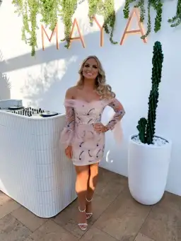 Alice McCall All That She Wants Dress in Nude/Pink Size 8 for rent on The Volte - image 2