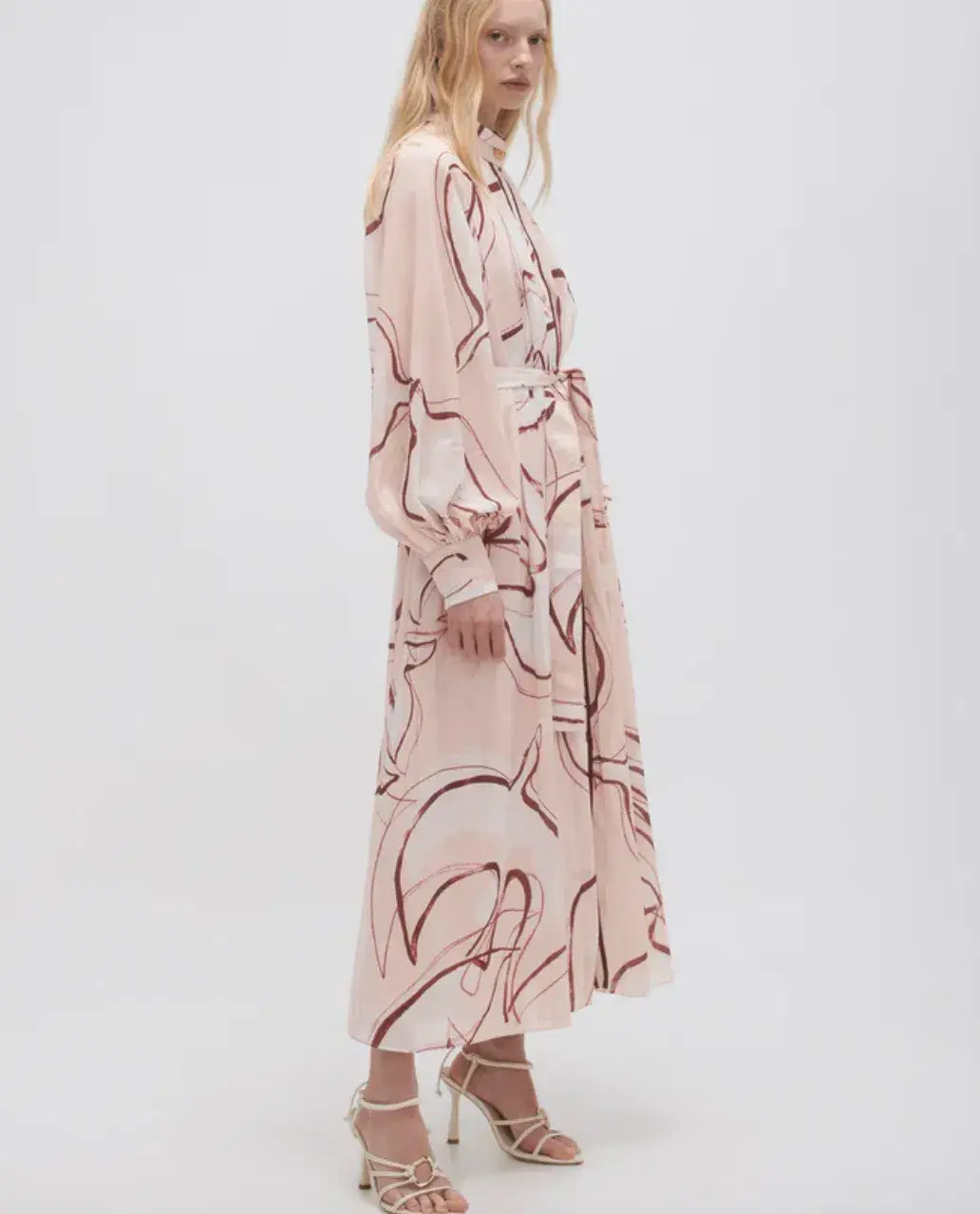 Aje Beatrice Pleated Midi Dress in Whimsical Dove Print Size S / AU 8 for rent on The Volte - main image
