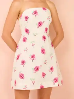 Aston Studio Beatrix Mini Dress In Arisa Anthurium Size 8 for rent on The Volte - image 2