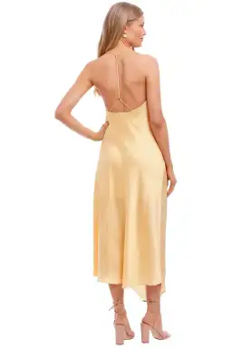 Significant Other One Another Dress in Yellow Size 10 for rent on The Volte - image 3
