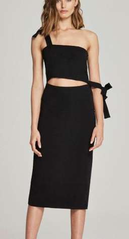 Maurie and Eve Winter Rose for rent on The Volte - image 1