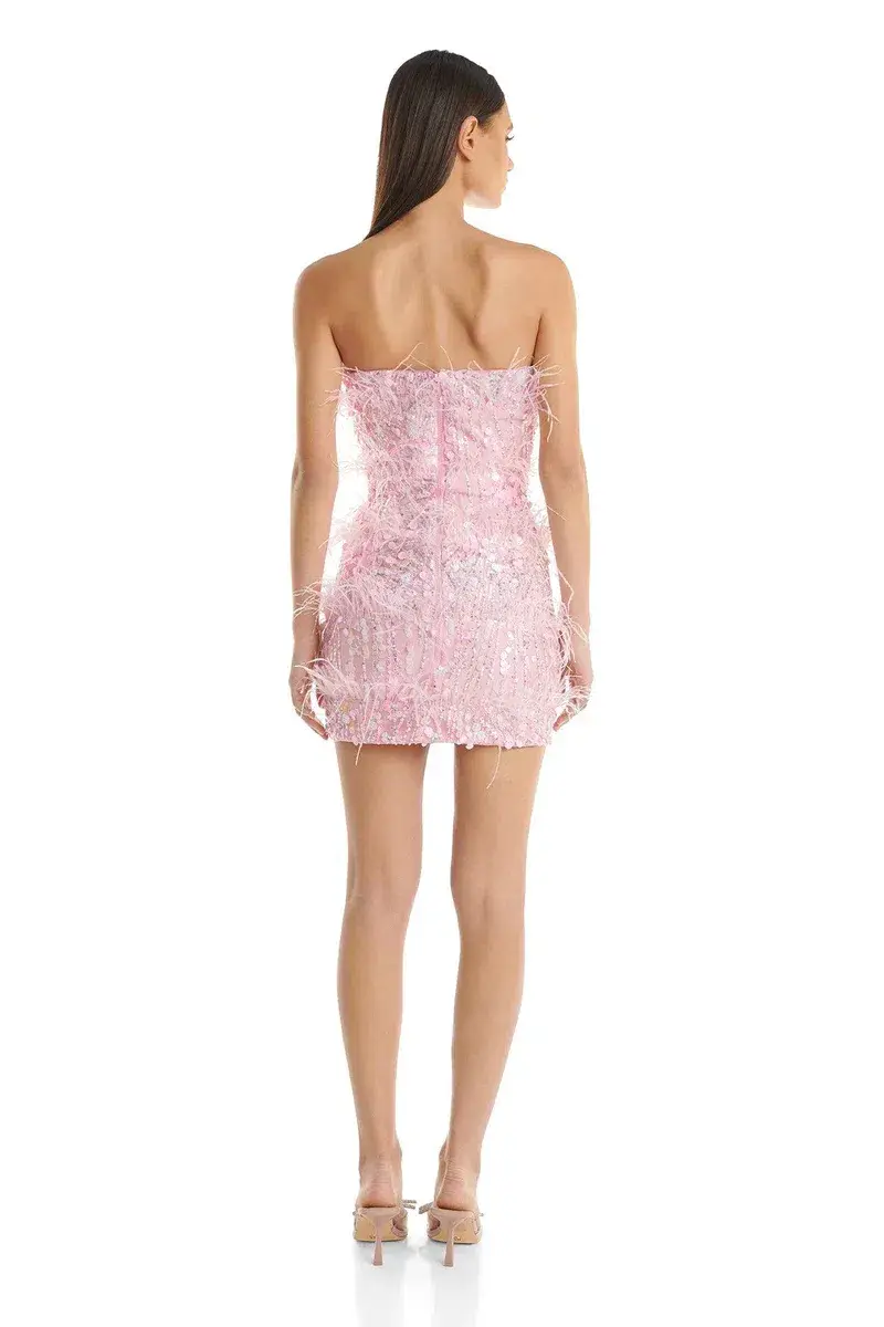 Eliya the Label Tiffany Dress Pink Size 8 for rent on The Volte - main image