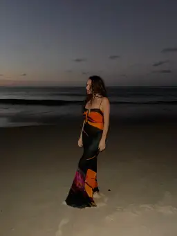 Rat & Boa Calypso Dress Bird of Paradise Print Size Small / AU 8 for rent on The Volte - image 3