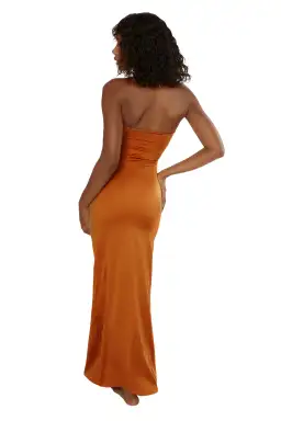 Maygel Coronel Veranera Dress Golden Honey Size 10 for rent on The Volte - image 5