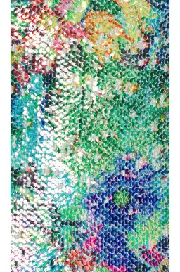 Alexis Aiya Midi Rainbow Sequin Dress in Multi Size Small / AU 8 for rent on The Volte - image 4