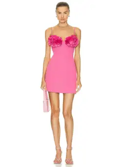 Rachel Gilbert Margot Mini Dress in Pink Size 0 / AU 6 for rent on The Volte - image 1