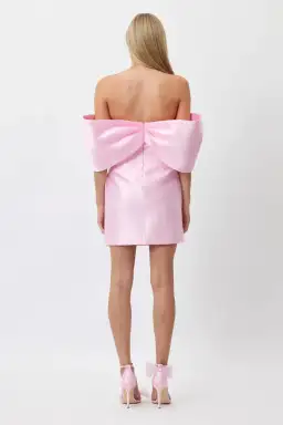 Bianca & Bridgett Eden Mini Dress Pink Size 6 for rent on The Volte - image 3