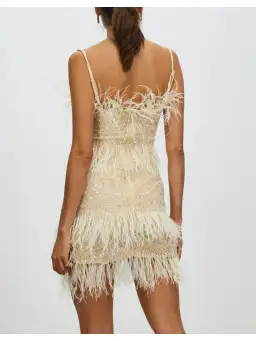 Rachel Gilbert Frenchy Mini Dress Nude Size AU 10 for rent on The Volte - image 3