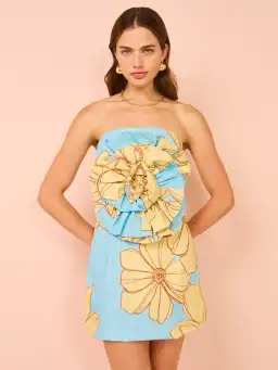 Issy Rose Bodice Mini Dress In Summer Print Size 10 for rent on The Volte - image 2