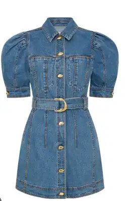 Aje Adriana Puff Sleeve Mini Dress 90s Wash Size 8 for rent on The Volte - image 4