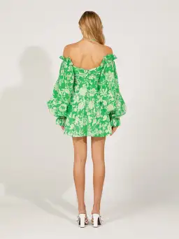 Alice McCall Mary Anne Mini Dress Green Apple Size 8 AU for rent on The Volte - image 3