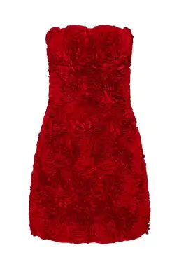 Aje Gazer Rosette Mini Dress Scarlet Red Size 8 for rent on The Volte - image 3