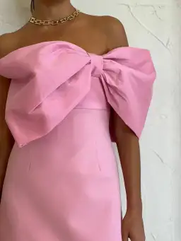 Rachel Gilbert Kace Mini Dress Pink Size 2 / AU 10 for rent on The Volte - image 4