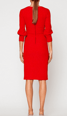 Scanlan Theodore Stretch Reptile Pencil Dress Red Size 10 for rent on The Volte - image 3