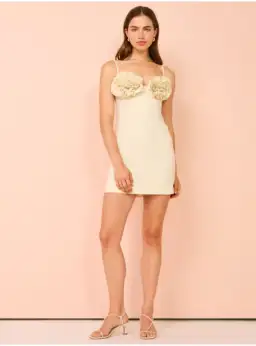 Rachel Gilbert Margot Mini Dress in Coconut Size 1 / AU 8 for rent on The Volte - image 1