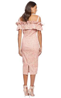 Pasduchas Brio Stripe Midi Dress Print Size 6 for rent on The Volte - image 2
