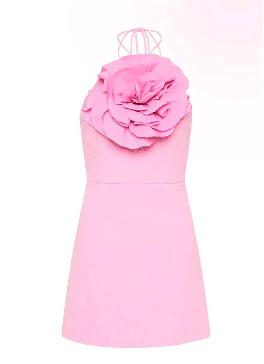 Rebecca Vallance Odetta Halter Mini Dress Pink Size 8 for rent on The Volte - main image