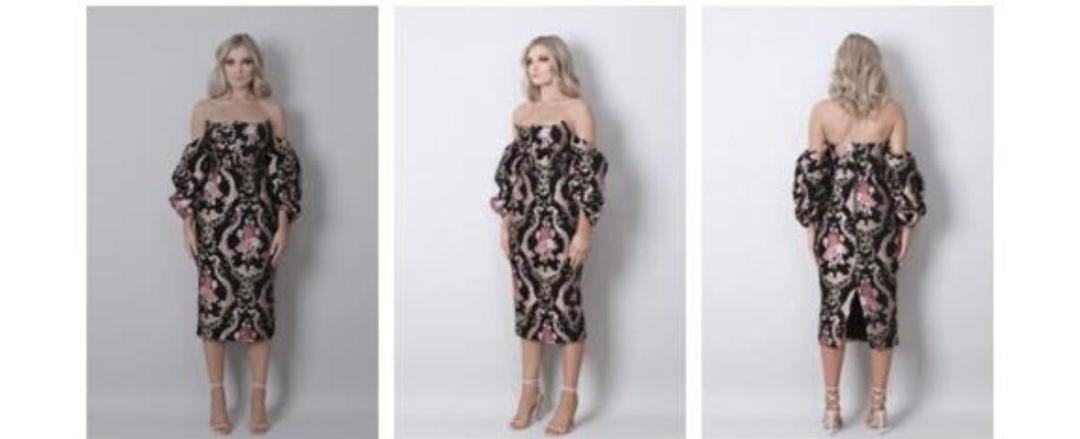 Delphine The Label Dress for rent on The Volte - main image