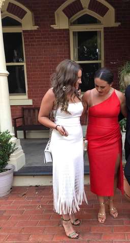 Dion Lee Bustier Perf Dress