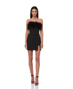 Par Violet Age of Innocence Mini Dress in Black Size 6 for rent on The Volte - image 1