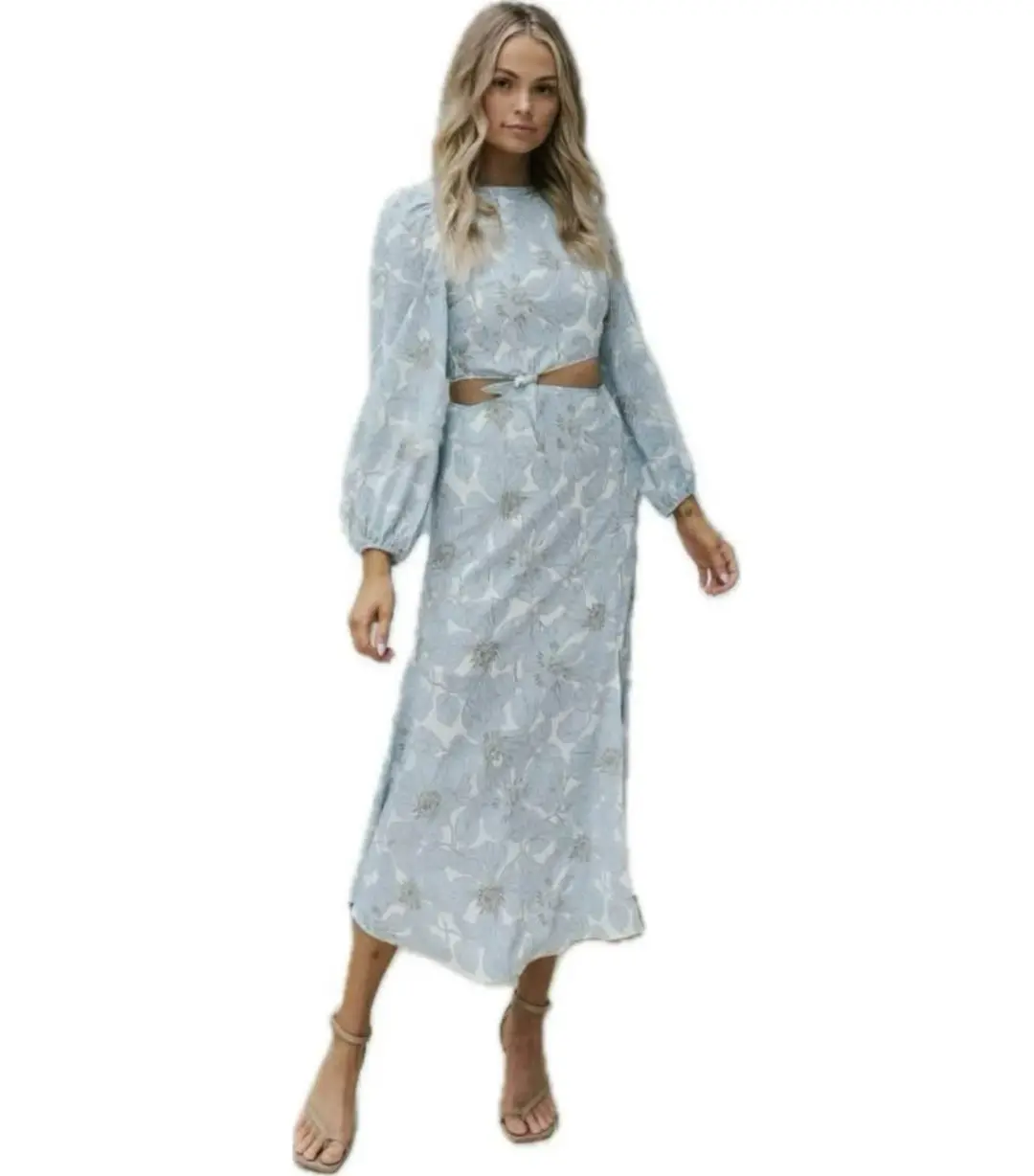 Mirror Mirror Boutique Boston Dress Blue Floral Size AU 8 for rent on The Volte - main image