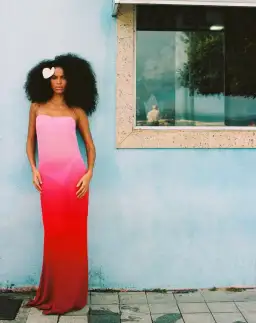 Rat & Boa Arabella Dress Pink Multi Size S / AU 8 for rent on The Volte - image 1