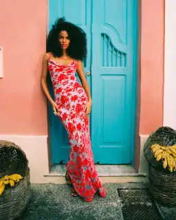 Rat & Boa Athena Dress in Red Size S / AU 8 for rent on The Volte - image 1