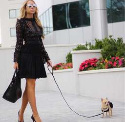 Self Portait Adeline Lace Mini Dress Black Size 4 for rent on The Volte - image 6