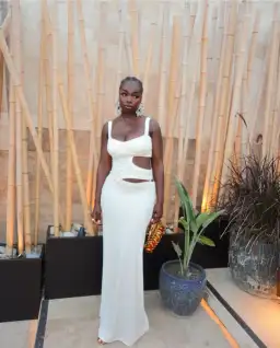 Arcina Ori Jetta Dress White Size 8 for rent on The Volte - image 8