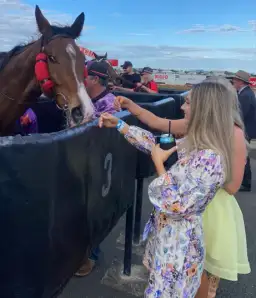 Zimmermann Tama Belted Mini Dress Diamond Splice Floral Size 0P/AU 6 for rent on The Volte - image 4