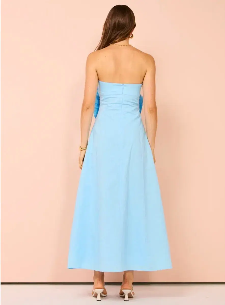 Issy Bustier Rose Midi Dress Blue Size 12 for rent on The Volte - main image