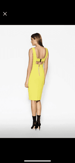 Sheike Renegade Dress - Citrus