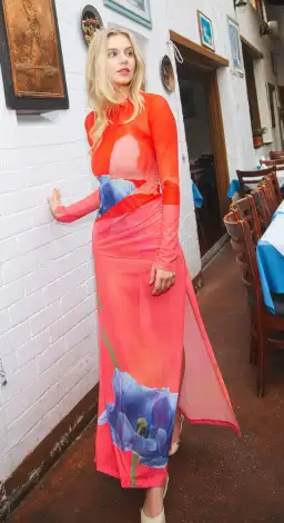 With Harper Lu Panel Maxi Dress Mesh Contrast Poppy Size M / AU 10 for rent on The Volte - image 4