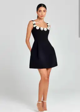 Nadine Merabi Cindy Monochrome Dress Size XS/Au 6 for rent on The Volte - image 1